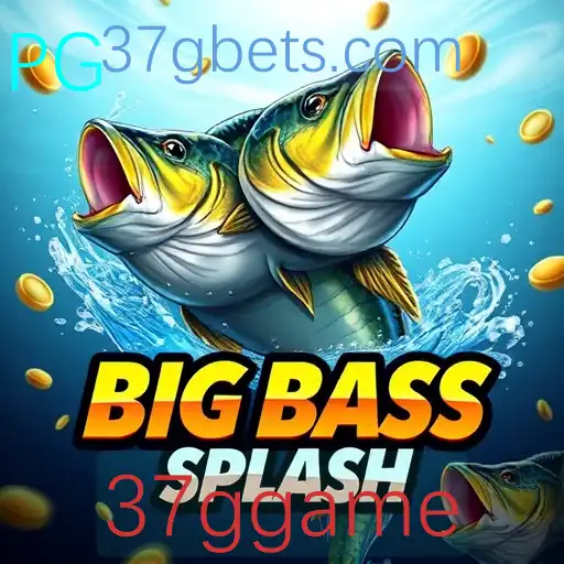 Cassino ao vivo